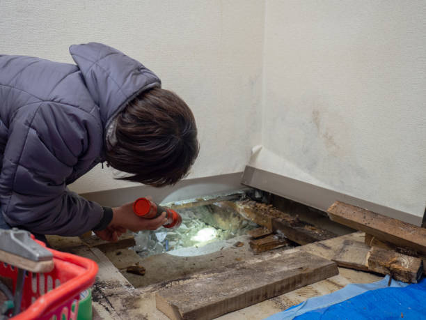 Best Post-Remediation Verification Testing  in Rockwell Place, TX