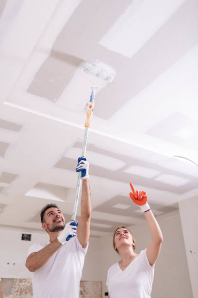Trusted Rockwell Place, TX Mold Removal Experts