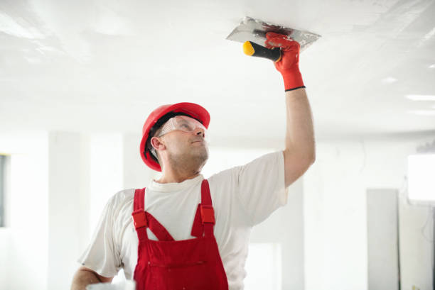 Best Comprehensive Air Testing for Mold Contaminants  in Rockwell Place, TX