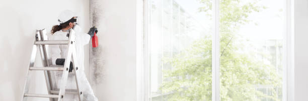 Mold Odor Removal Services in Rockwell Place, TX