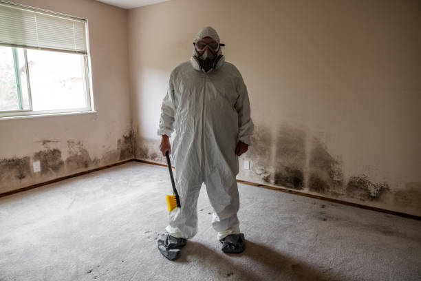 Best Mold Removal for HVAC Installations  in Rockwell Place, TX